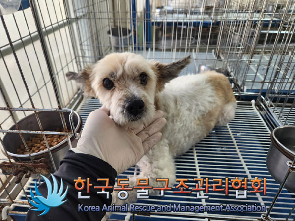 한국동물구조관리협회_411316202300425